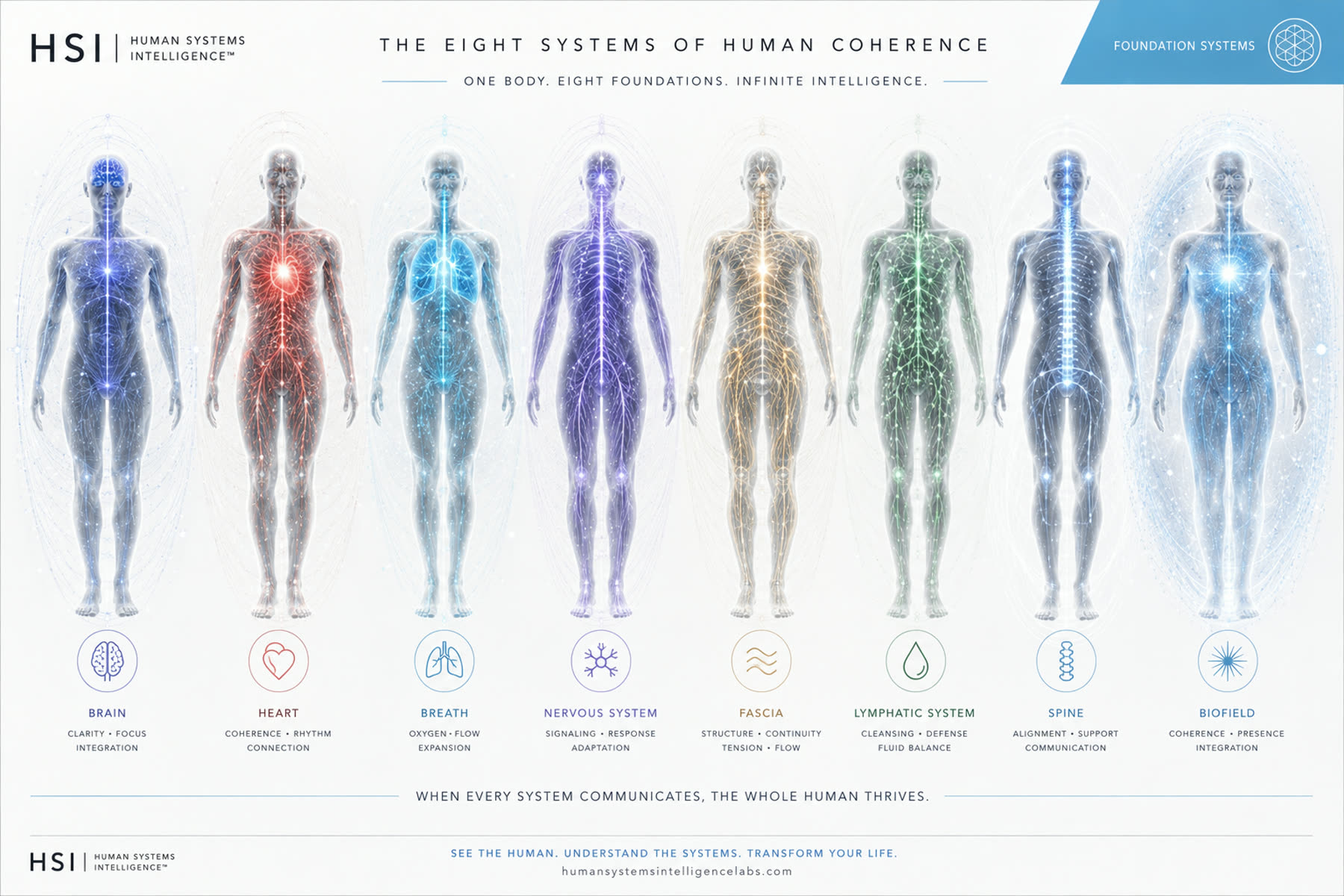 Series print — clinical light edition